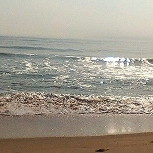 Meet your Posher, Chase